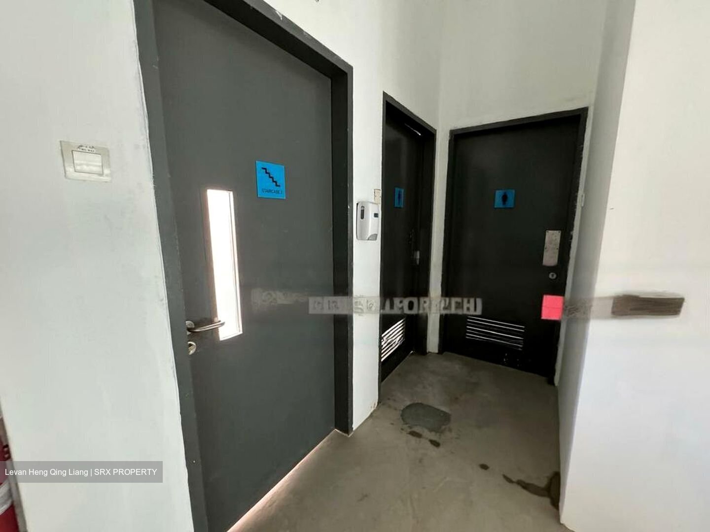 Pandan Loop (D5), Factory #456255841